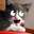 RBkitteh