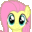 Flutterstorm