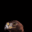 gaianmage