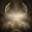 Dissoriented