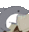 Shark man