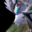 Wolf O'Donnell