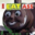 Expansion@8:22