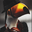 le_toucan_is_sacred