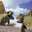 AnActualDimetrodon