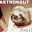 The Astronaut Sloth