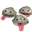 a flock of ravenous man-eating clams