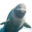 Ralphjohnheimer