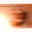 stubeet11